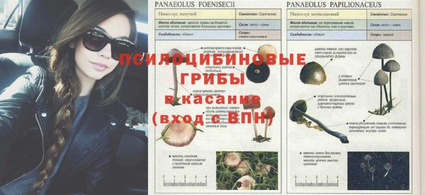 mdpv Алзамай